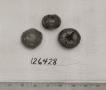 Click for 1 image(s) for this accession. FRUIT